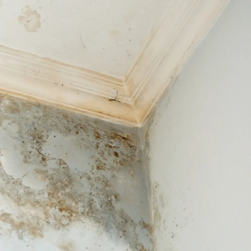 Peindre après un dégât des eaux : comment procéder pour un résultat impeccable ?